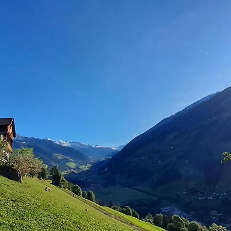 Großstahlhof Mountain&Panorama View Apartment Ahrntal Bagian luar foto