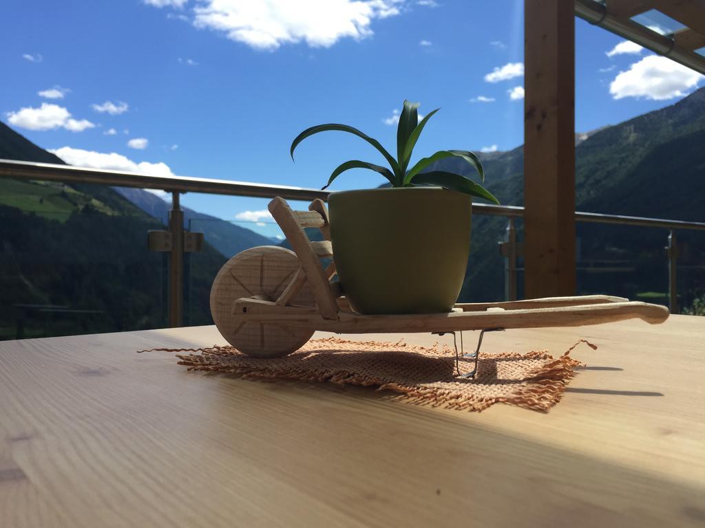 Großstahlhof Mountain&Panorama View Apartment Ahrntal Bagian luar foto